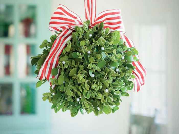 Mistletoe diy ribbon hang